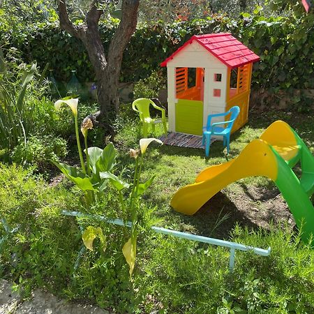 B&B Case Vacanza Orchidea Marina Di Macchia Vicino A Mattinata Gargano 圣安吉罗山 外观 照片
