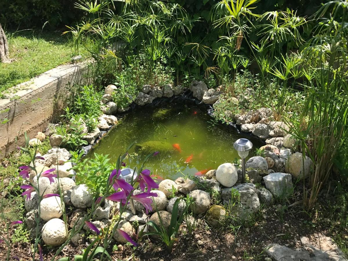 B&B Case Vacanza Orchidea Marina Di Macchia Vicino A Mattinata Gargano 圣安吉罗山 外观 照片