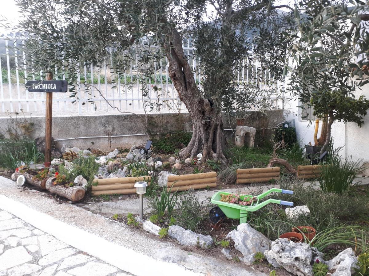 B&B Case Vacanza Orchidea Marina Di Macchia Vicino A Mattinata Gargano 圣安吉罗山 外观 照片