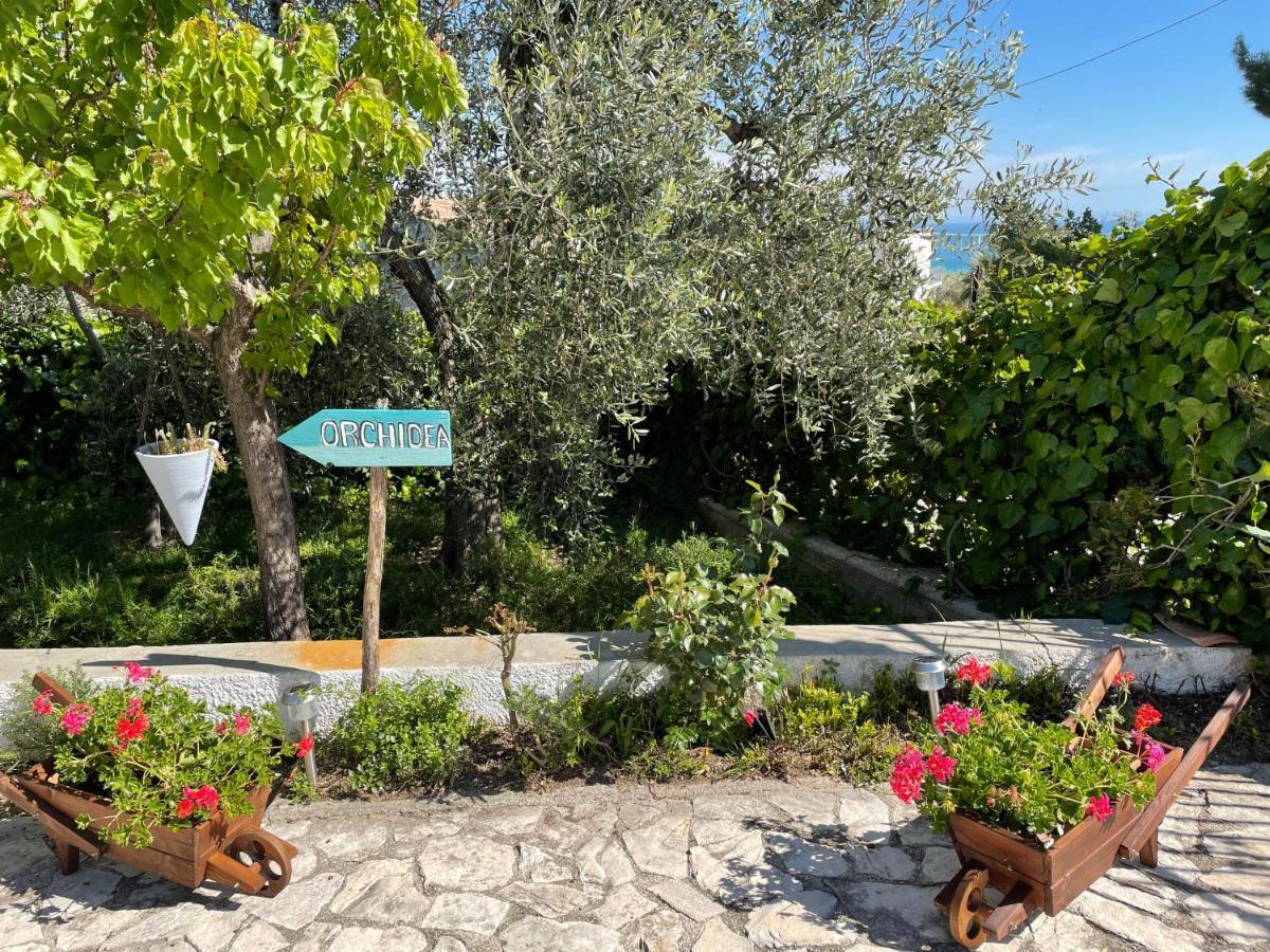 B&B Case Vacanza Orchidea Marina Di Macchia Vicino A Mattinata Gargano 圣安吉罗山 外观 照片