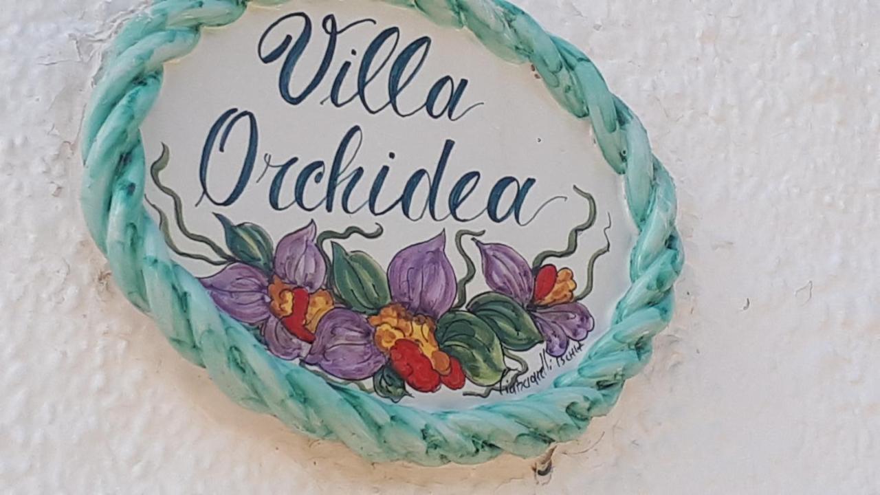 B&B Case Vacanza Orchidea Marina Di Macchia Vicino A Mattinata Gargano 圣安吉罗山 客房 照片