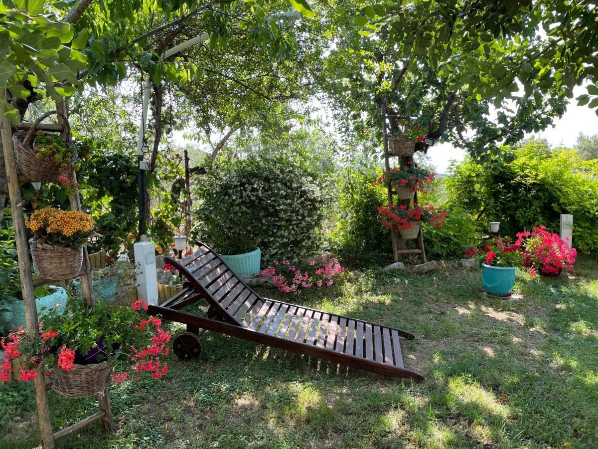 B&B Case Vacanza Orchidea Marina Di Macchia Vicino A Mattinata Gargano 圣安吉罗山 外观 照片