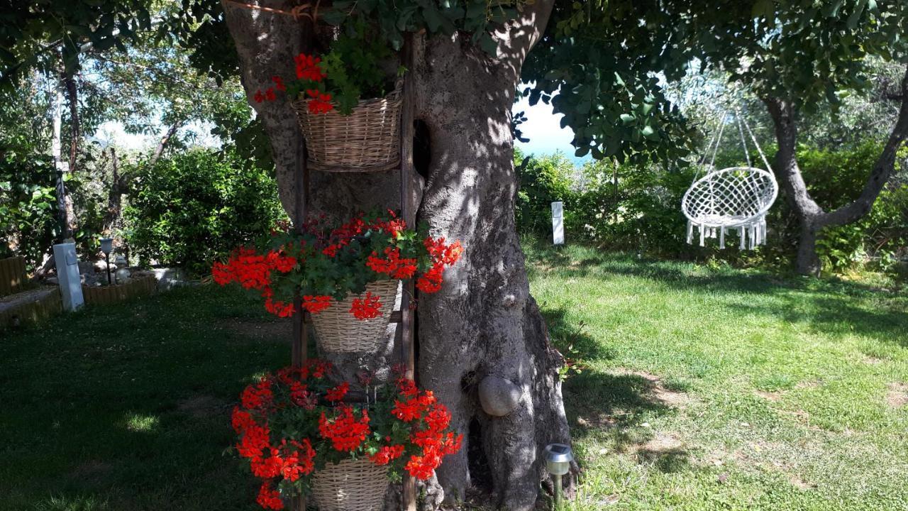 B&B Case Vacanza Orchidea Marina Di Macchia Vicino A Mattinata Gargano 圣安吉罗山 外观 照片