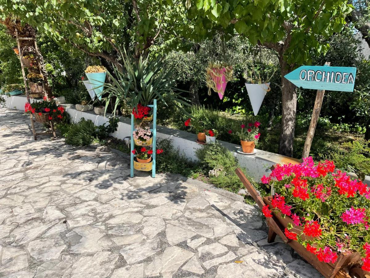 B&B Case Vacanza Orchidea Marina Di Macchia Vicino A Mattinata Gargano 圣安吉罗山 外观 照片