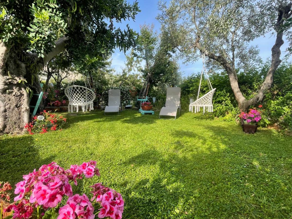 B&B Case Vacanza Orchidea Marina Di Macchia Vicino A Mattinata Gargano 圣安吉罗山 外观 照片