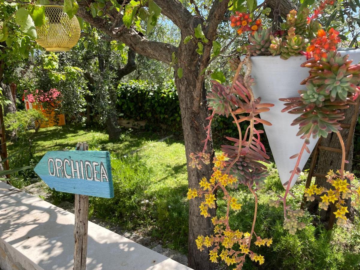 B&B Case Vacanza Orchidea Marina Di Macchia Vicino A Mattinata Gargano 圣安吉罗山 外观 照片