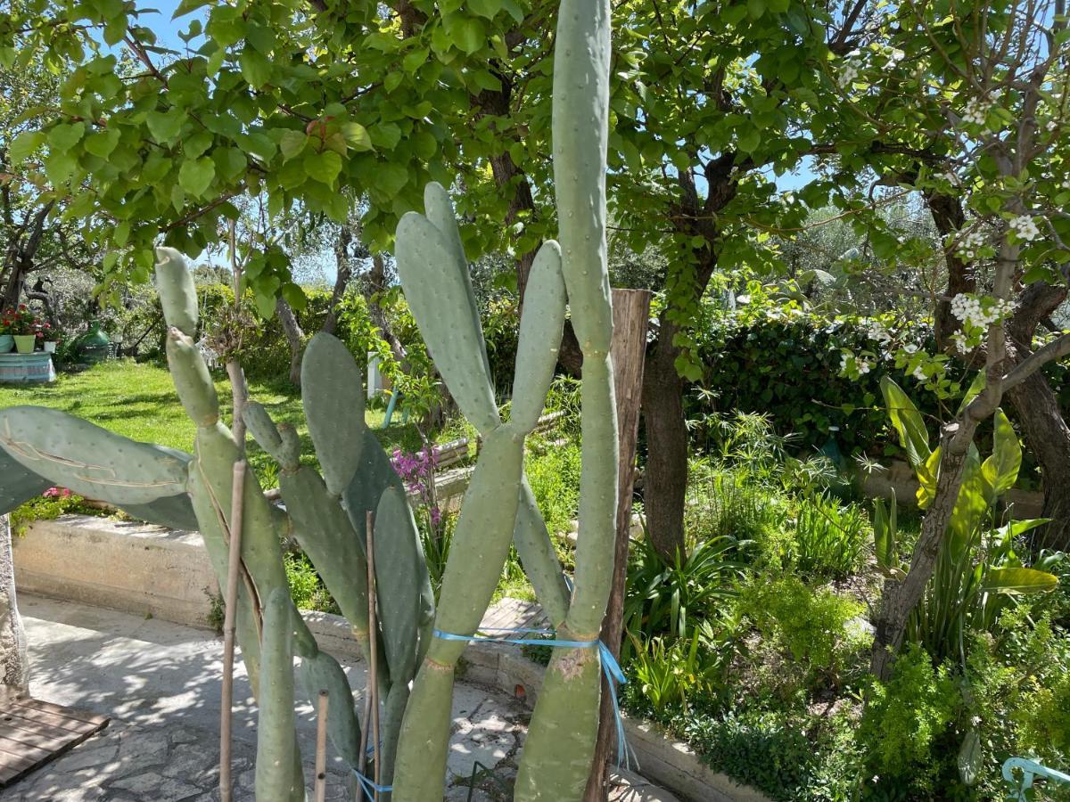 B&B Case Vacanza Orchidea Marina Di Macchia Vicino A Mattinata Gargano 圣安吉罗山 外观 照片