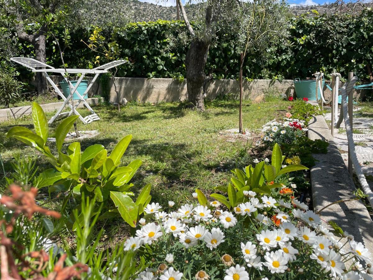 B&B Case Vacanza Orchidea Marina Di Macchia Vicino A Mattinata Gargano 圣安吉罗山 外观 照片