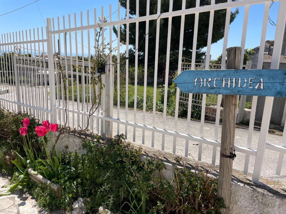 B&B Case Vacanza Orchidea Marina Di Macchia Vicino A Mattinata Gargano 圣安吉罗山 外观 照片