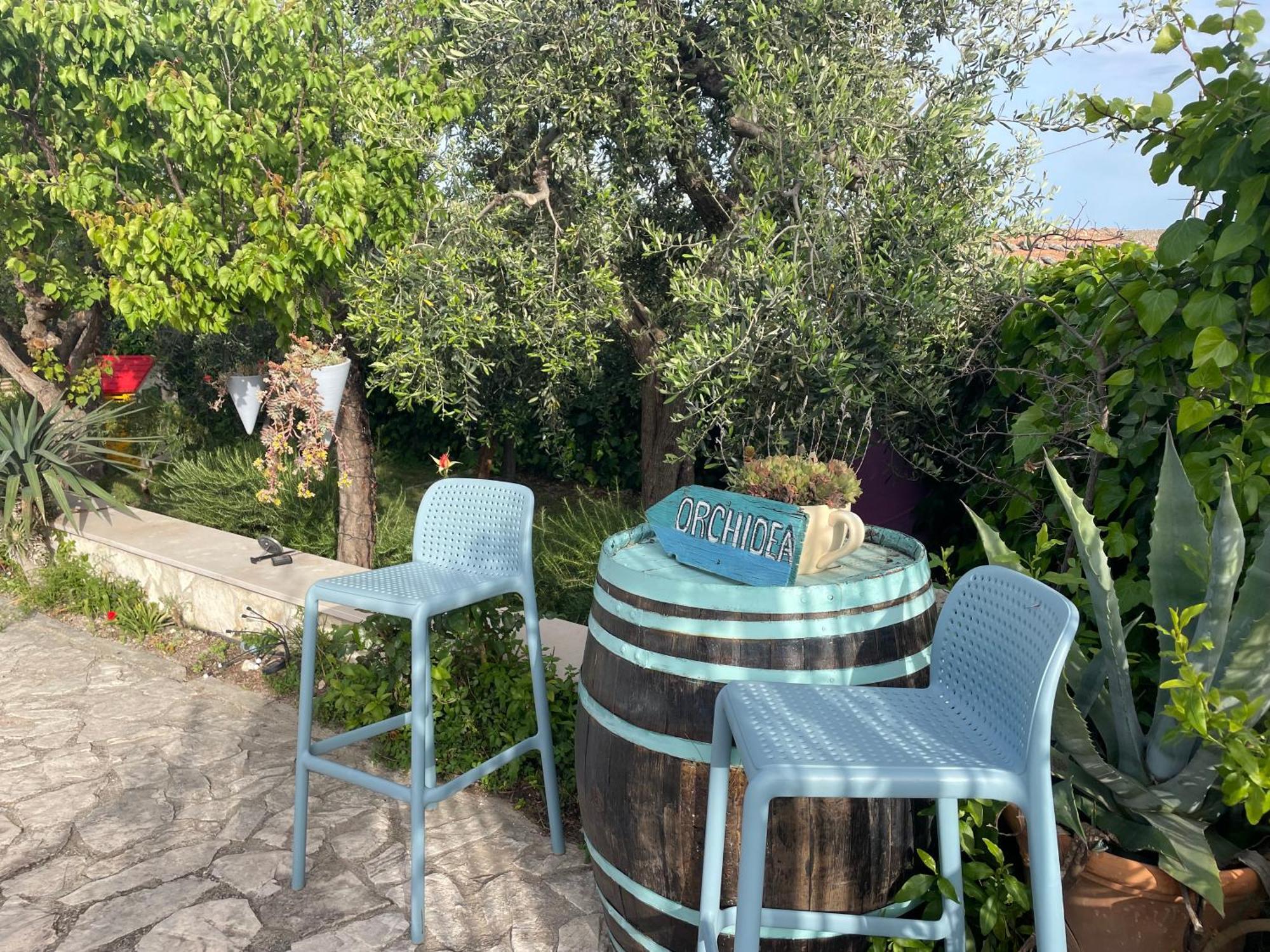 B&B Case Vacanza Orchidea Marina Di Macchia Vicino A Mattinata Gargano 圣安吉罗山 外观 照片