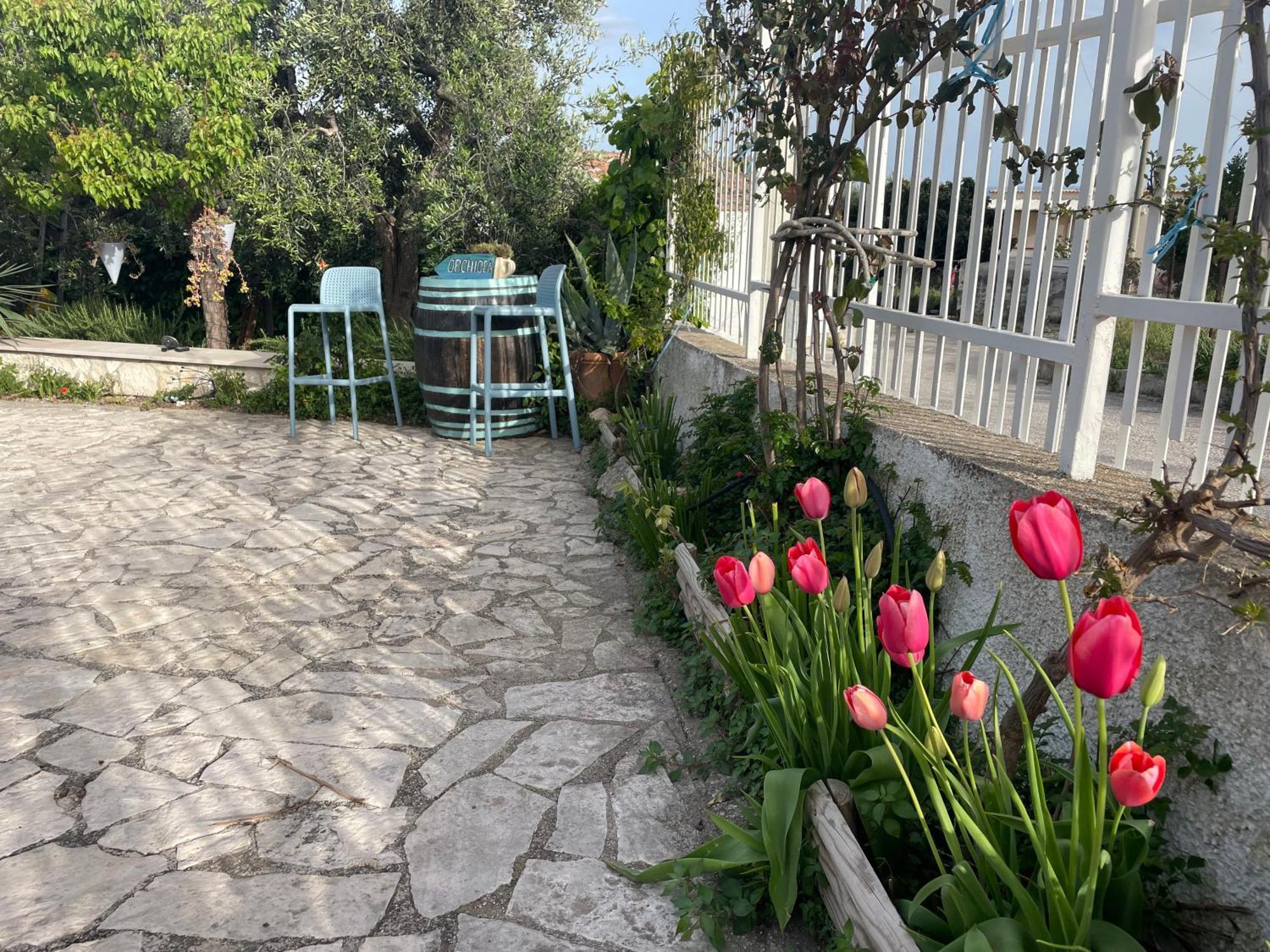 B&B Case Vacanza Orchidea Marina Di Macchia Vicino A Mattinata Gargano 圣安吉罗山 外观 照片
