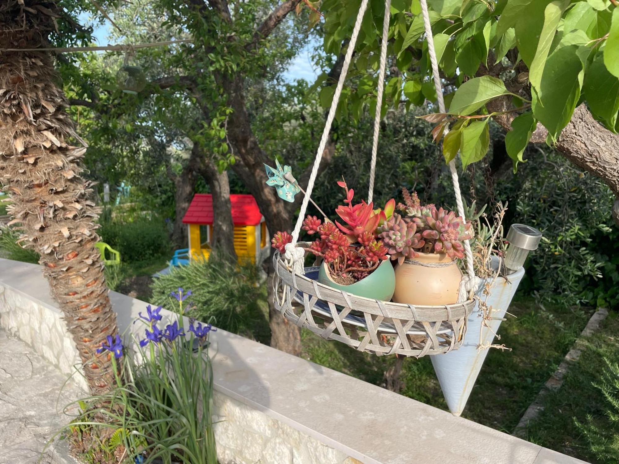 B&B Case Vacanza Orchidea Marina Di Macchia Vicino A Mattinata Gargano 圣安吉罗山 外观 照片