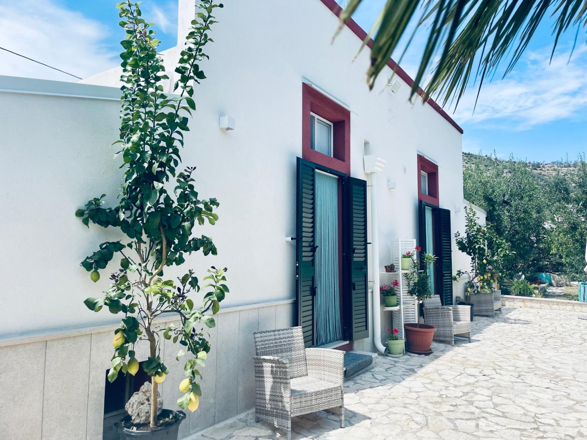 B&B Case Vacanza Orchidea Marina Di Macchia Vicino A Mattinata Gargano 圣安吉罗山 外观 照片