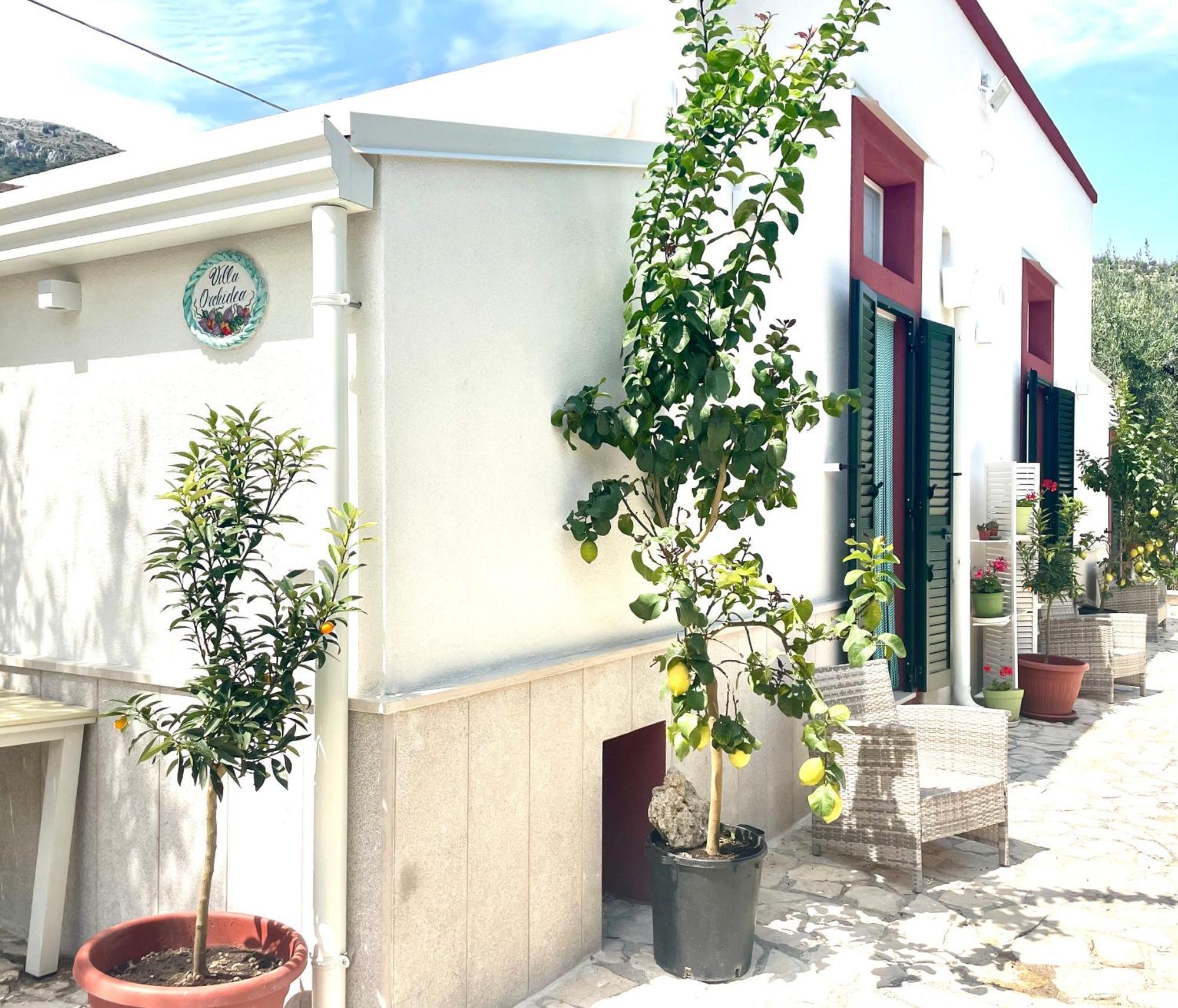 B&B Case Vacanza Orchidea Marina Di Macchia Vicino A Mattinata Gargano 圣安吉罗山 外观 照片