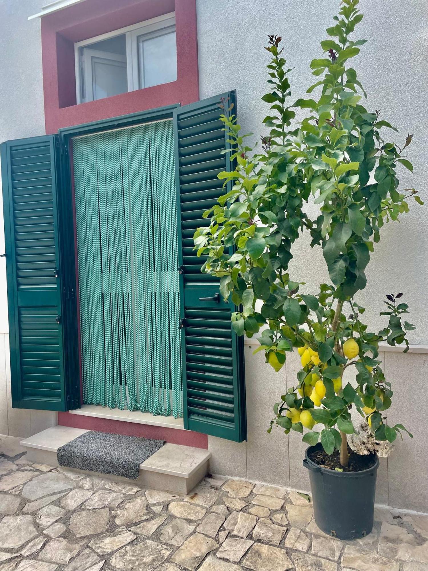 B&B Case Vacanza Orchidea Marina Di Macchia Vicino A Mattinata Gargano 圣安吉罗山 外观 照片