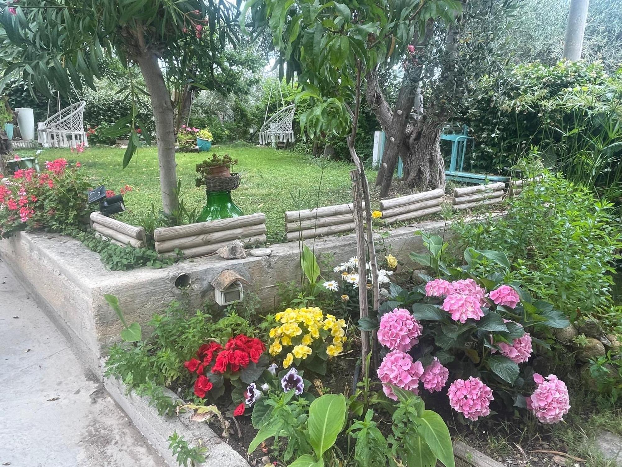 B&B Case Vacanza Orchidea Marina Di Macchia Vicino A Mattinata Gargano 圣安吉罗山 外观 照片