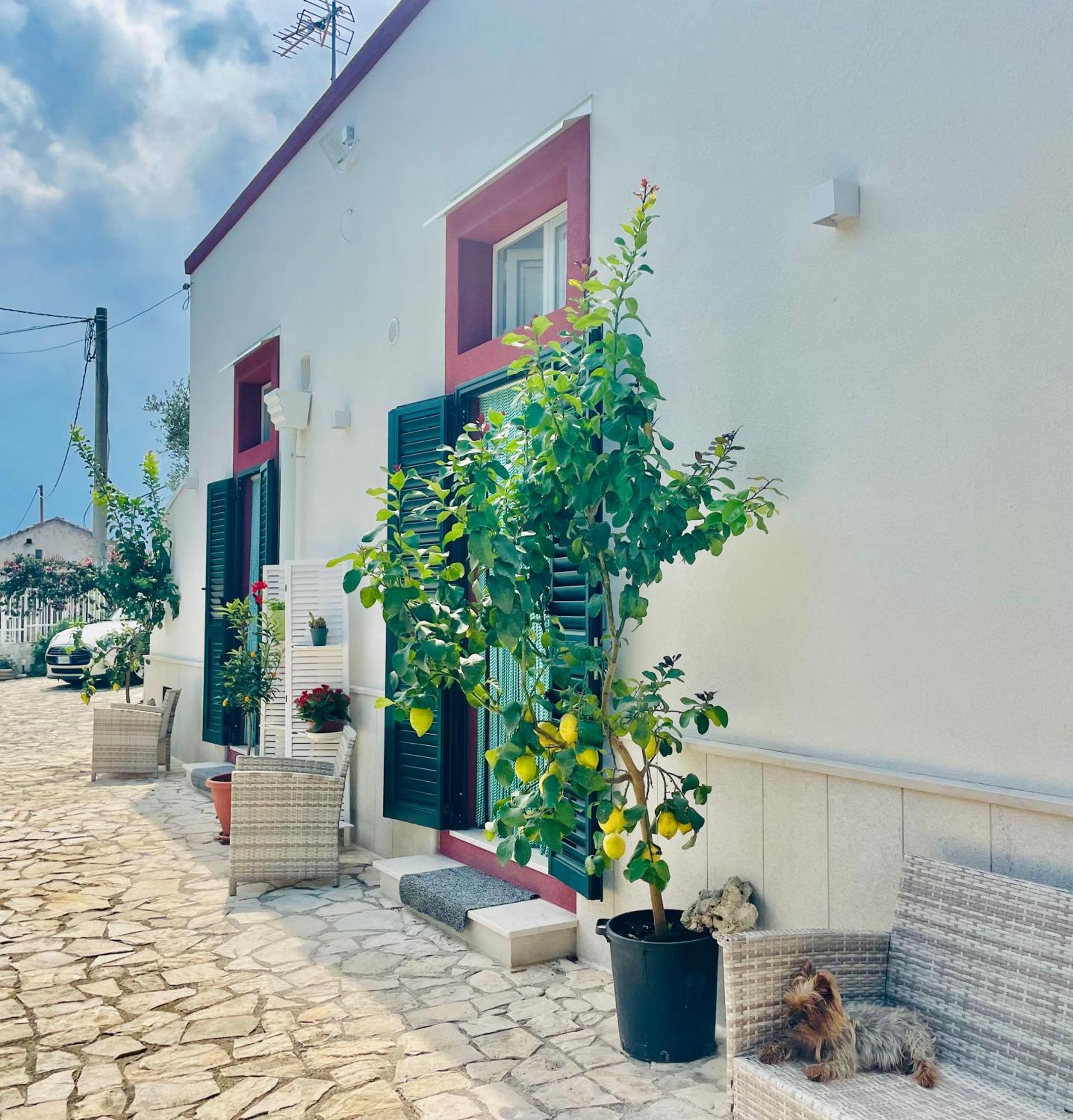 B&B Case Vacanza Orchidea Marina Di Macchia Vicino A Mattinata Gargano 圣安吉罗山 外观 照片