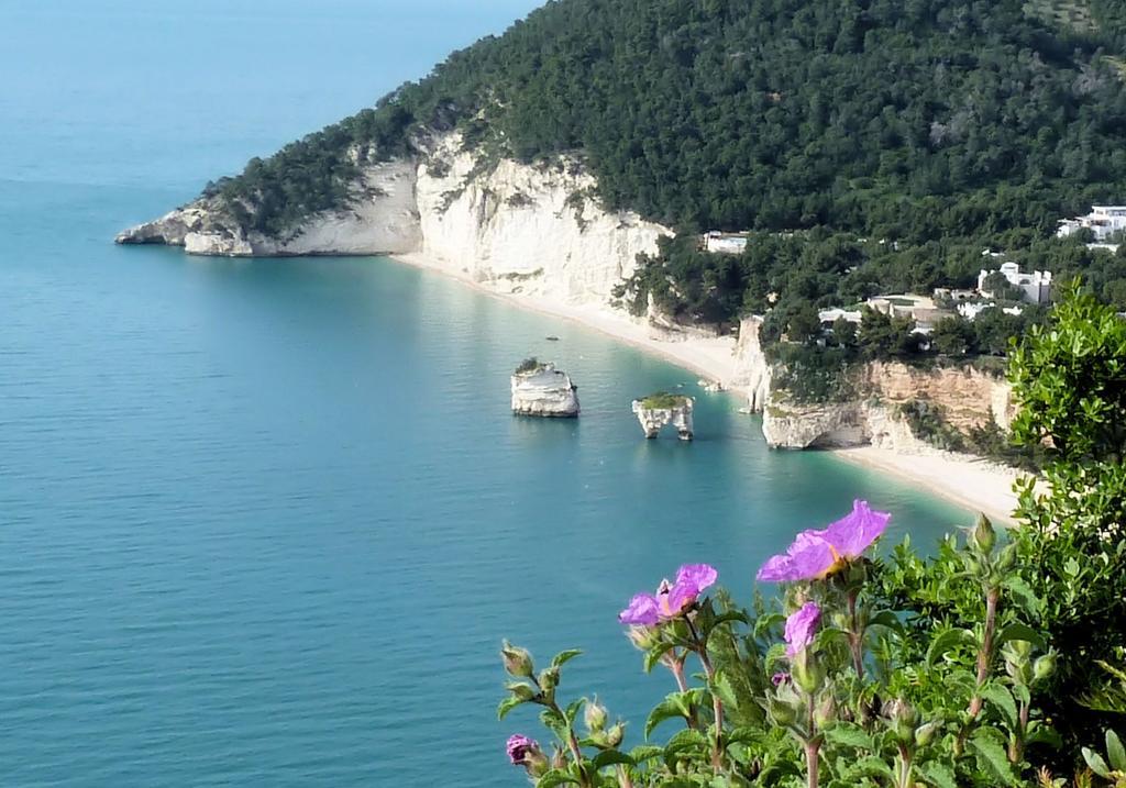 B&B Case Vacanza Orchidea Marina Di Macchia Vicino A Mattinata Gargano 圣安吉罗山 外观 照片