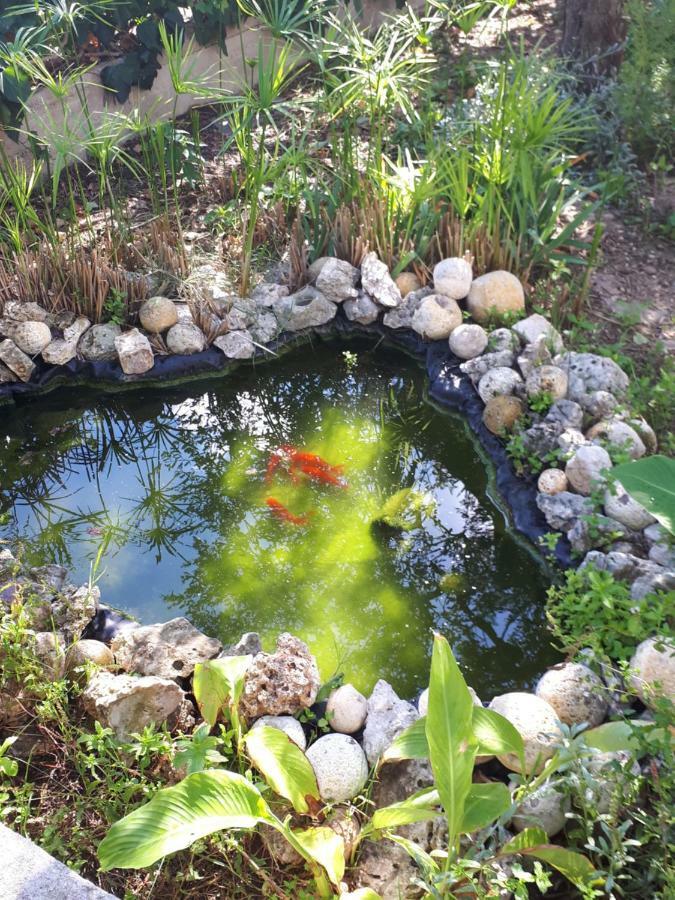 B&B Case Vacanza Orchidea Marina Di Macchia Vicino A Mattinata Gargano 圣安吉罗山 外观 照片
